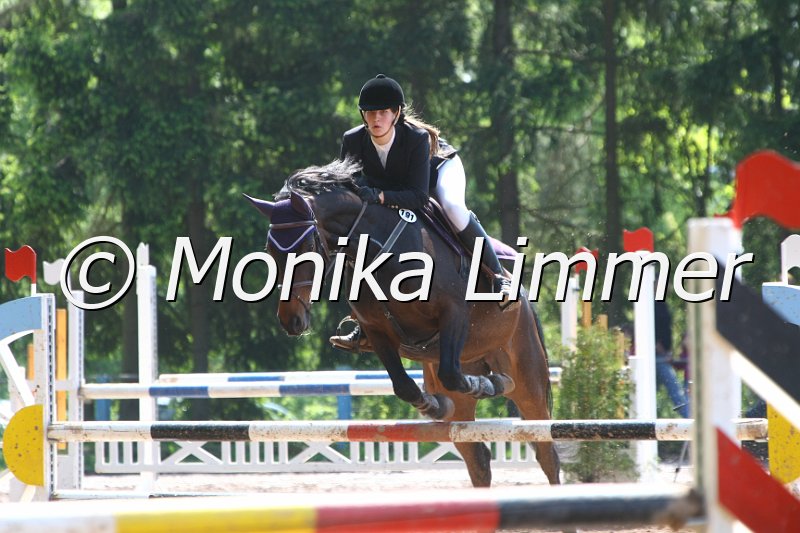 104M8096_Springpf L.JPG